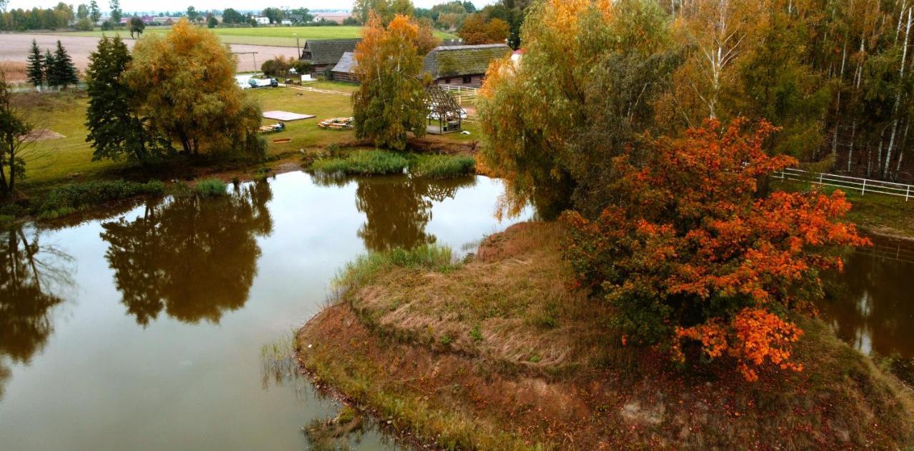 Gniazdo W Felicjanowie Uniejow Esterno foto