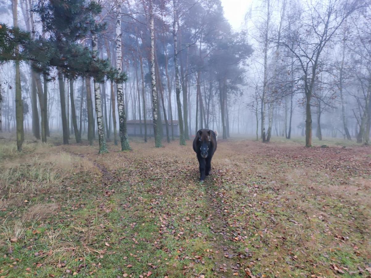 Gniazdo W Felicjanowie Uniejow Esterno foto