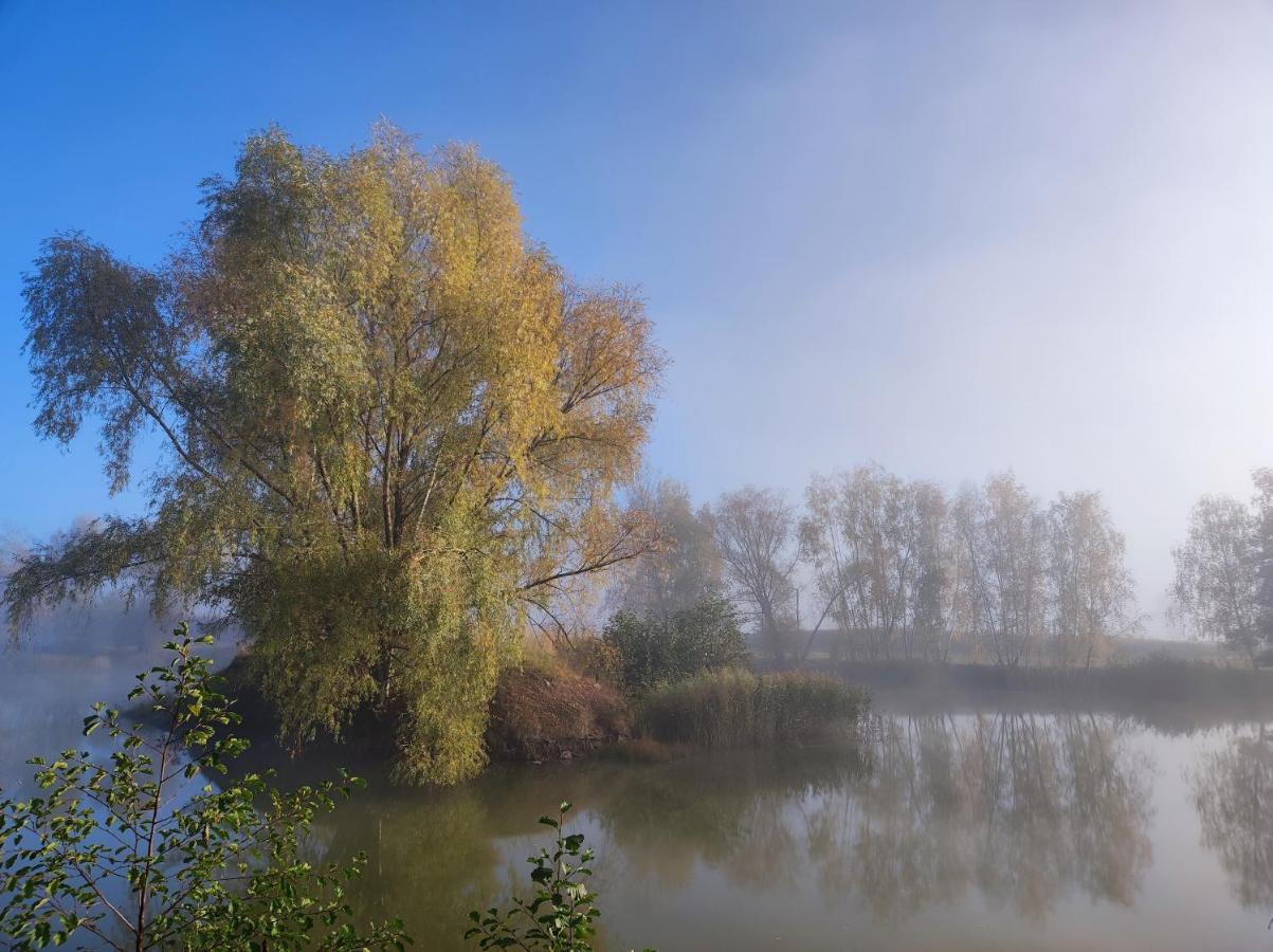 Gniazdo W Felicjanowie Uniejow Esterno foto