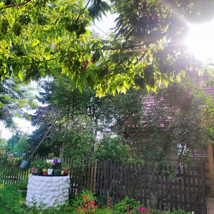 Gniazdo W Felicjanowie Uniejow Esterno foto